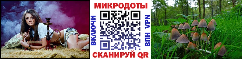 Псилоцибиновые грибы Cubensis Чкаловск